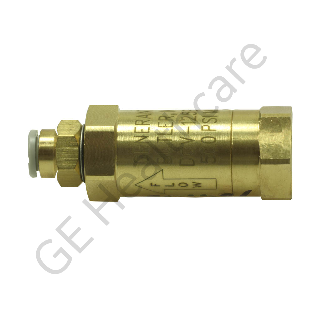 Check Valve with Filter and Straight Push Connect Fitting