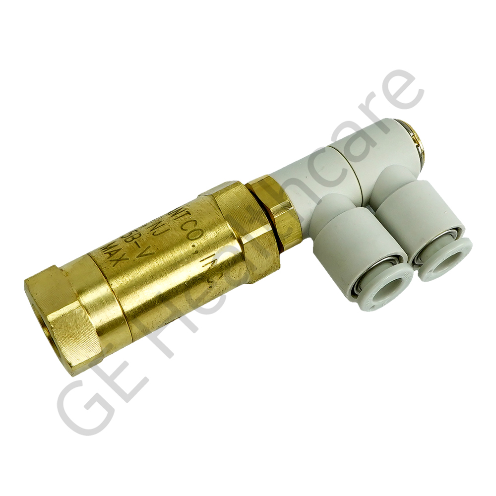 Check Valve with Filter and Elbow Push Connect Fittings