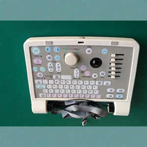 Keyboard Assembly for L100 Pro Tarang Keyboard Assembly for L100 Pro Tarang
