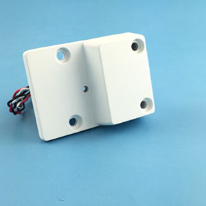 Park Lock Assembly GA200161 Park Lock Assembly GA200161